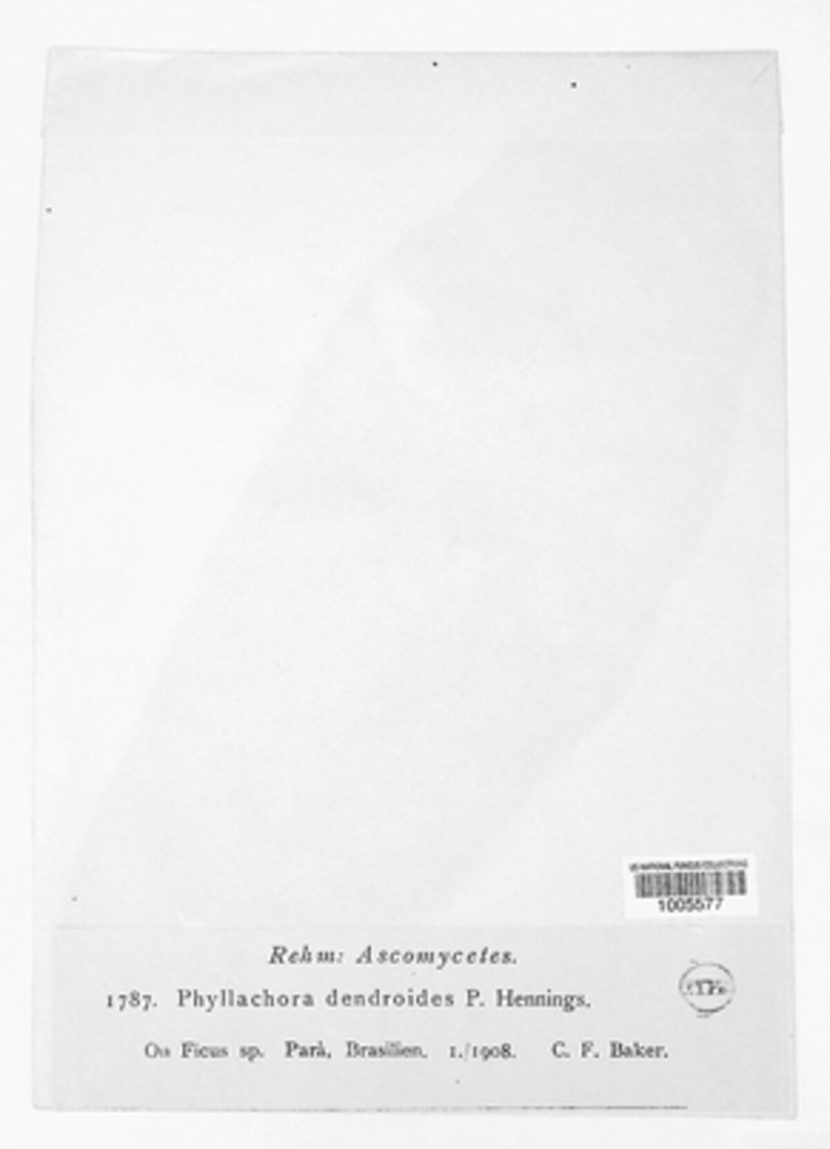 Phyllachora effigurata image